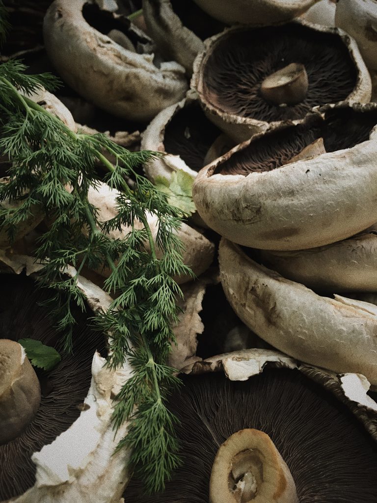 Mushroom recipes for Autumn